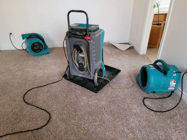 Best Flood restoration services  in La Crescent, MN