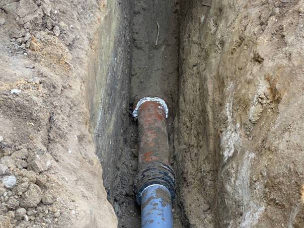 Best Flood damage cleanup  in La Crescent, MN