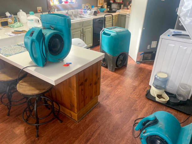 Best 24-hour water damage restoration  in La Crescent, MN