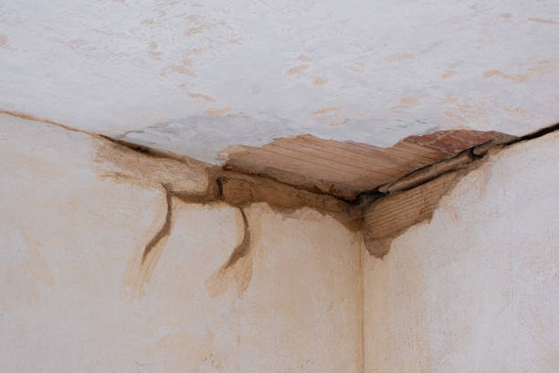 Best Mold removal after water damage  in La Crescent, MN