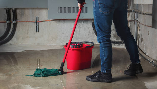 Best Residential water damage restoration  in La Crescent, MN