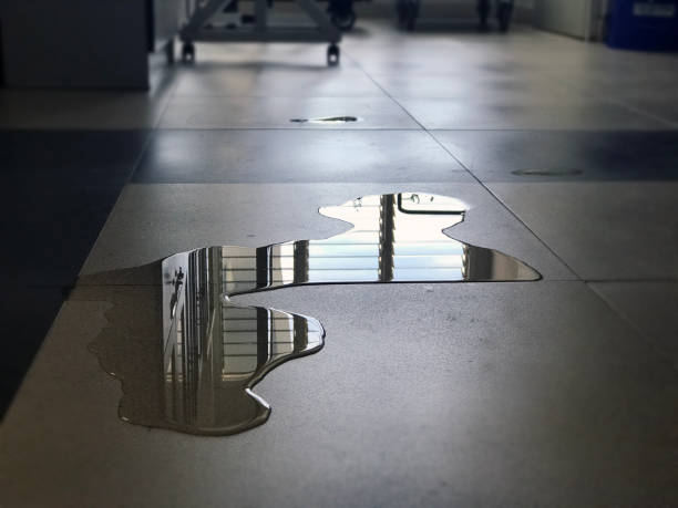Water damage restoration experts in MN