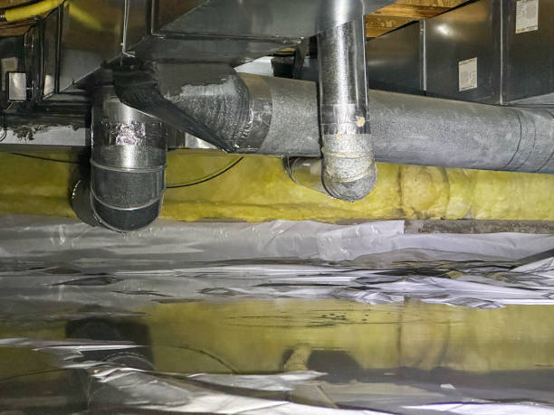 Best Fire Damage Restoration  in La Crescent, MN