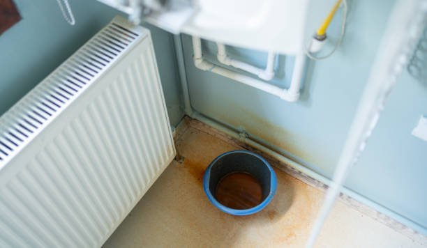 Best Water damage restoration near me  in La Crescent, MN