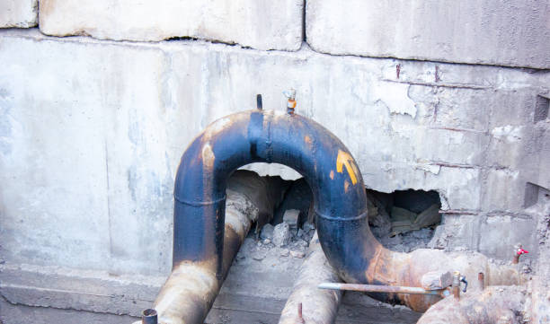 Best Professional water damage repair  in La Crescent, MN