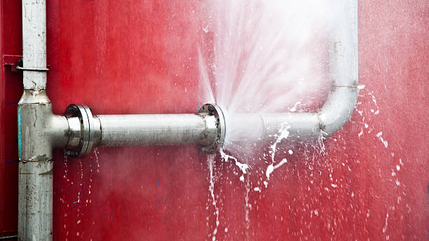 Best 24/7 water damage repair  in La Crescent, MN