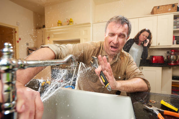Best Flood damage cleanup  in La Crescent, MN